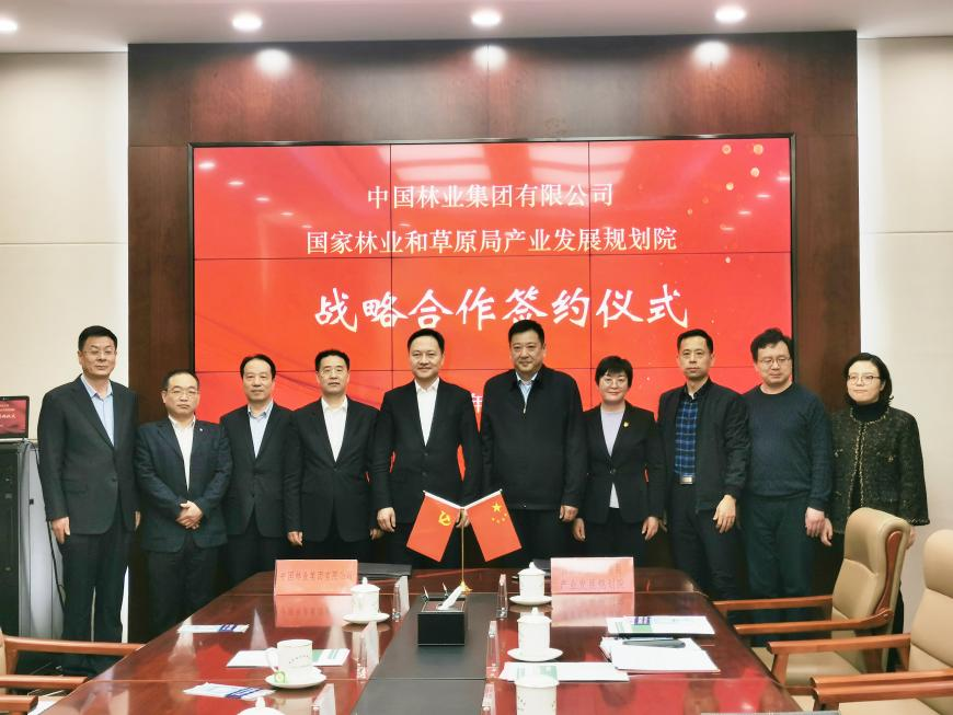 集團(tuán)公司與國(guó)家林業(yè)和草原局產(chǎn)業(yè)發(fā)展規(guī)劃院簽署戰(zhàn)略合作協(xié)議(圖2)