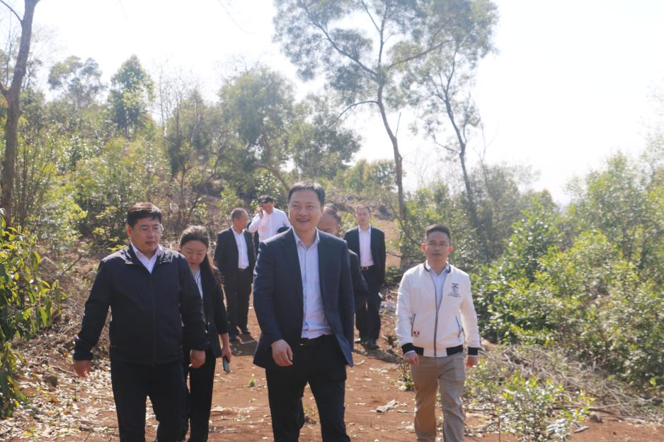 余紅輝到訪湛江市委市政府并對雷林公司開展調(diào)研(圖2)