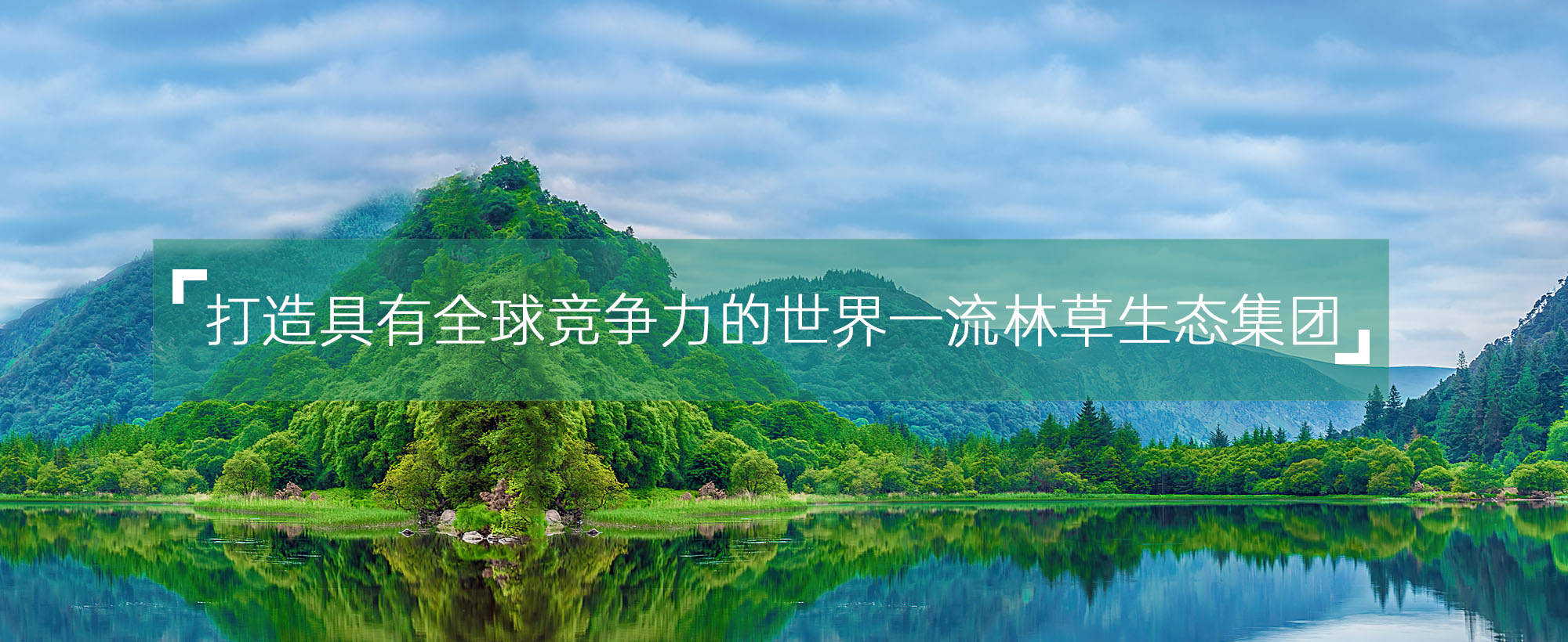  集團(tuán)簡(jiǎn)介(圖4)